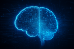 Mythe des 10% du cerveau